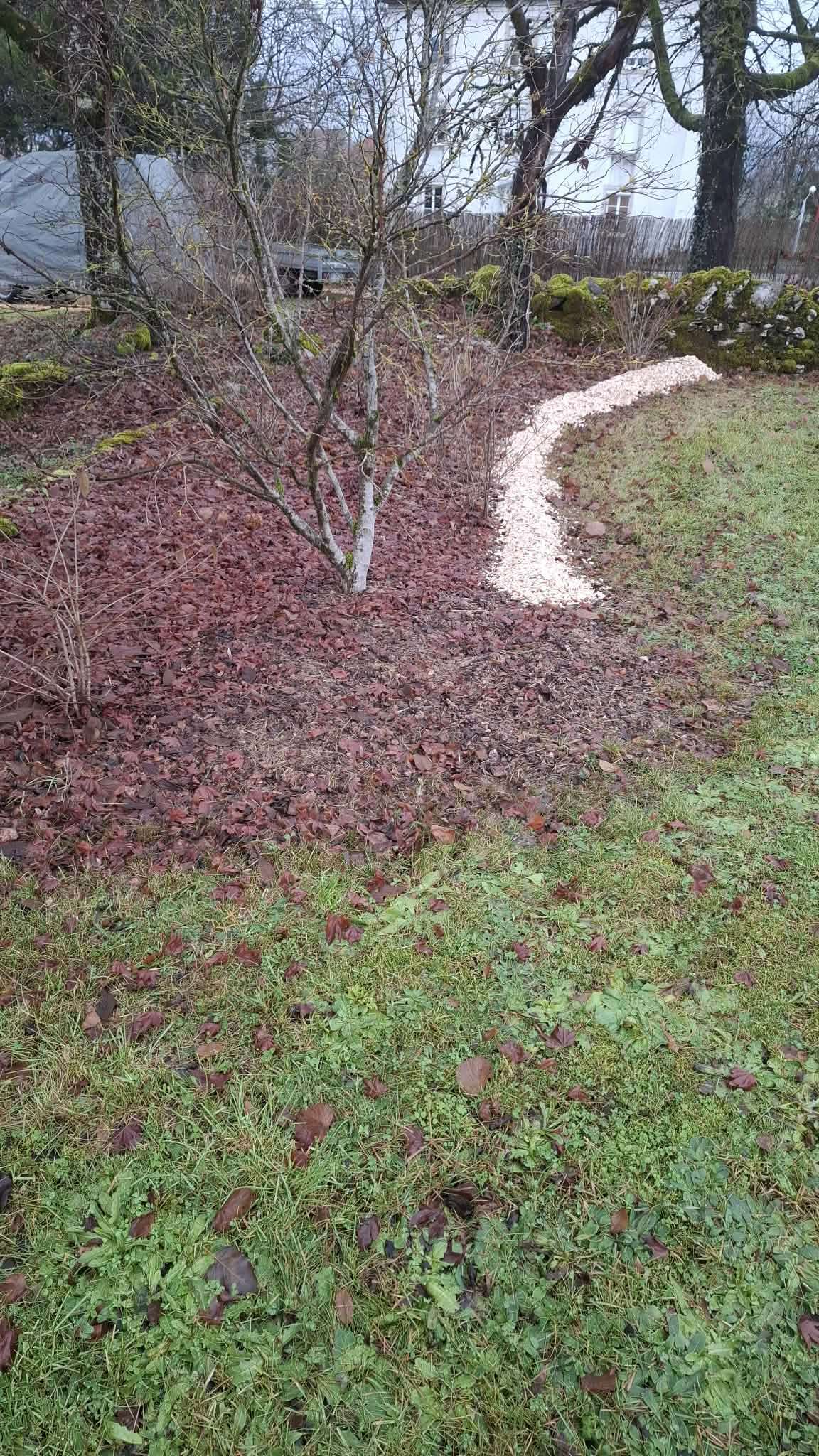 6[1]
